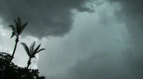 HURRICANE: Eye of The Storm  Video stock 399305