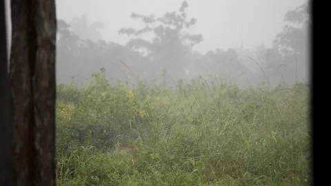 Hurricane In A Field Stock Footage 220351734