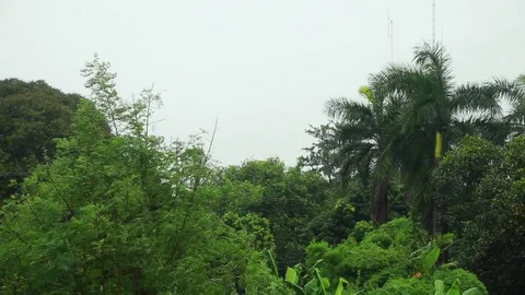 Hurricane Stock Footage 80162156