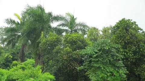 Hurricane Stock Footage 80162188