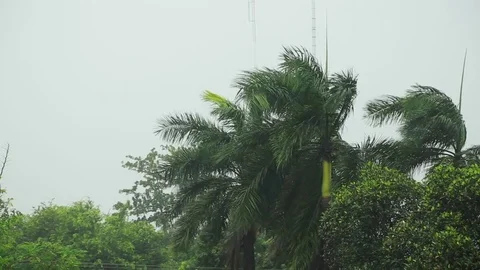 Hurricane Stock Footage 80162382