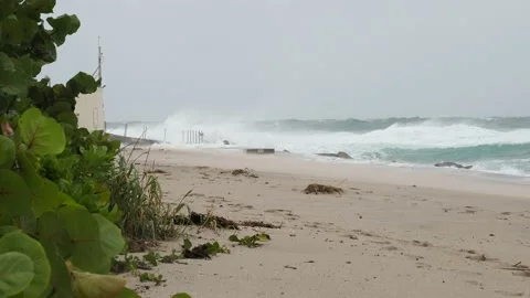 Hurricane Stock Footage 143198267