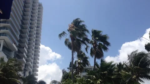 Before the hurricane Stock Footage 241749173