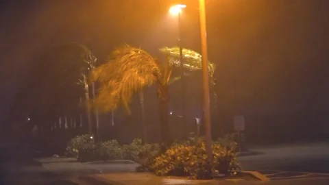 Hurricane Force Winds Lash Palm Trees During Hurricane Matthew  Stock Footage 107050938