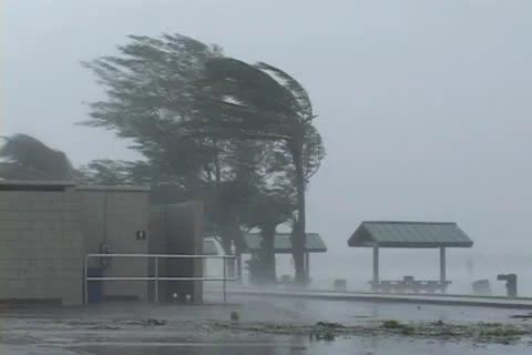 Hurricane Frances comes ashore Stock Footage 24523862