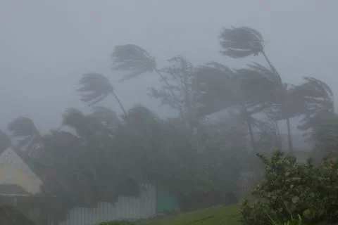 Hurricane full on wind Stock Photos