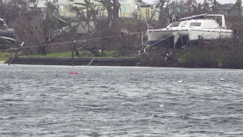 Hurricane grounds catamaran Stock Footage 165068288