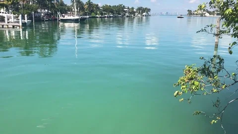 Hurricane Harbor, Miami, FL Stock Footage 73156291