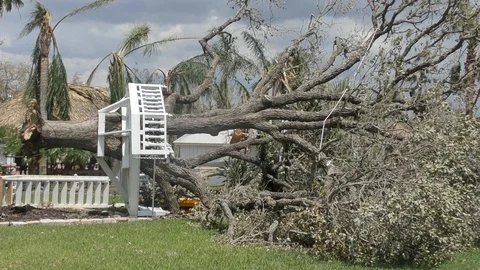 Hurricane Harvey Damage - Tree and Porch Destroyed 4K Stock Footage 112911411
