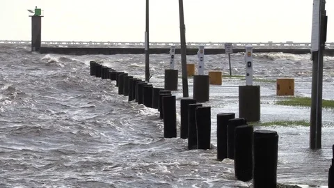 Hurricane Harvey Stock Footage 79598656