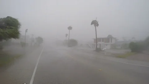 Hurricane Harvey wind and rain, residential neighborhood, storm chaser Stock Footage 80718053
