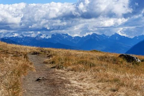 Hurricane Hill Trail Stock Photos
