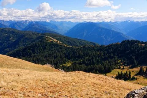Hurricane Hill trail Stock Photos