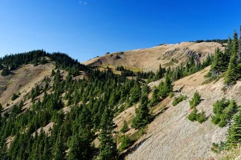 Hurricane Hill Trail Stock Photos