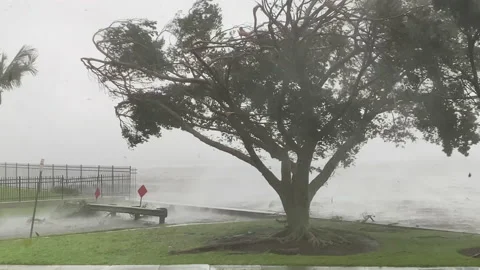 Hurricane Ian wind Stock Footage 217409381