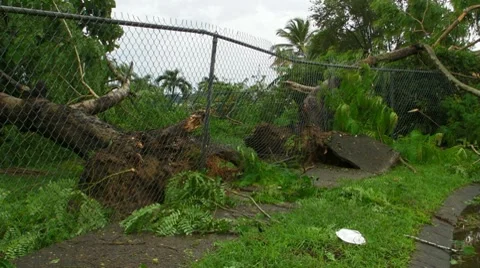Hurricane Irene Aftermath-Fallen Trees destroy fence + sidewalk Stock Footage 8561596