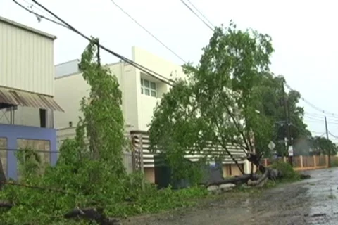 Hurricane Irene Aftermath-Fallen trees over power cables next to school Stock Footage 8562893