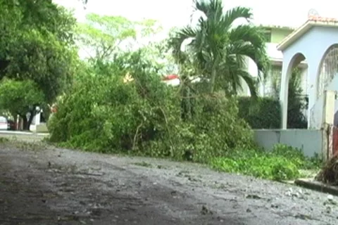 Hurricane Irene Aftermath-Fallen trees on streets Stock Footage 8563004