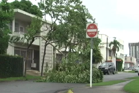 Hurricane Irene Aftermath-Fallen trees over street and high winds Stock Footage 8563104
