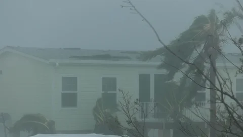 Hurricane Irma Big Pine Key Video stock 97295561