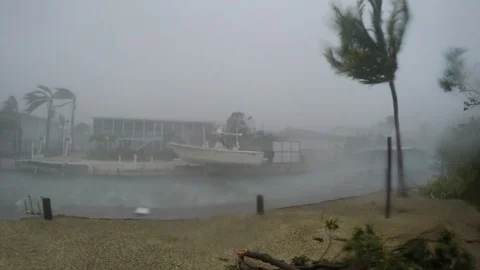 Hurricane Irma big wind gust Stock Footage 105243497