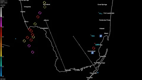 Hurricane Irma on doppler weather radar over Florida Stock Footage 79898103
