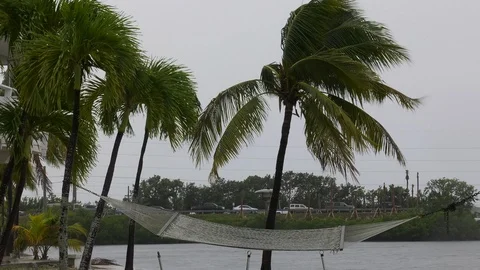 Hurricane Irma evacuation complete Stock Footage 105124721