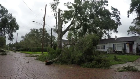 Hurricane Irma 스톡 동영상 79935941