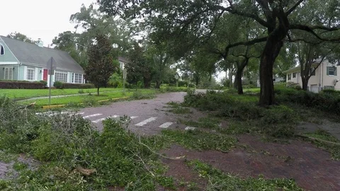 Hurricane Irma Stock-Footage 79937057
