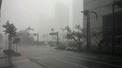 Hurricane Irma 動画素材 83801431