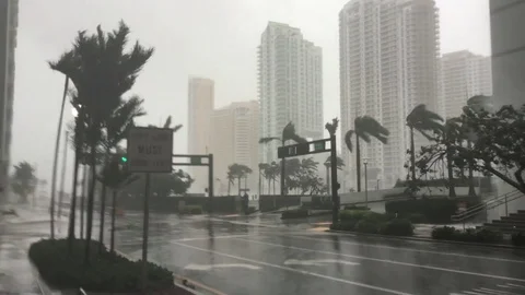 Hurricane Irma 動画素材 83801781