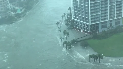 Hurricane Irma Stock Footage 83801799