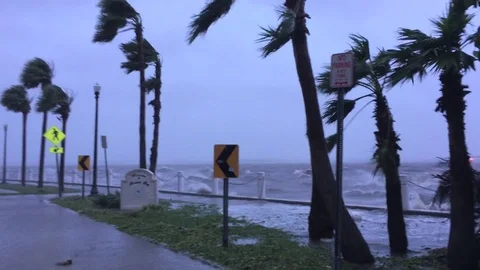 Hurricane Irma 動画素材 83801825