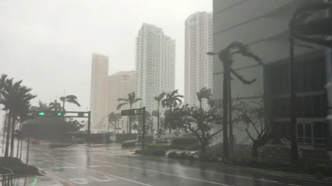 Hurricane irma Vídeo Stock 83801943