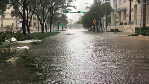 Hurricane Irma 動画素材 83801992