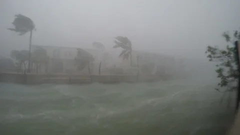 Hurricane Irma Stock-Footage 97295116