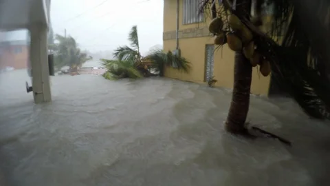 Hurricane Irma 库存影片 105116131