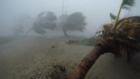 Hurricane Irma full on dangerous wind Video stock 97296248
