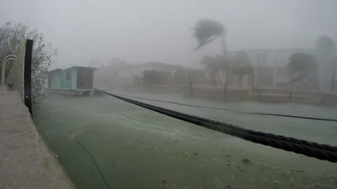 Hurricane Irma full on wind Stock-Footage 105244486