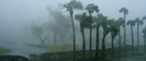 Hurricane Irma shot on RED Stock Footage