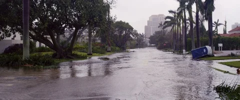 Hurricane Irma shot on RED Stock-Footage 119674800