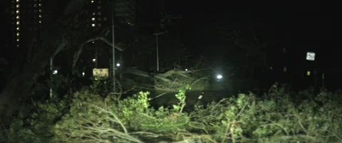 Hurricane Irma shot on RED Stock-Footage 119674930