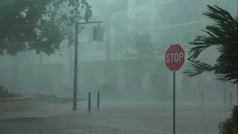Hurricane Irma Violent Eye Wall Wind And Torrential Rain Stock Footage 80242384