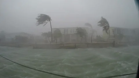 Hurricane Irma wind waves full on Stock Footage