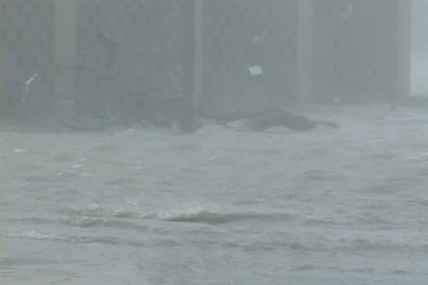 Hurricane Katrina in Mississippi Video stock 24239174