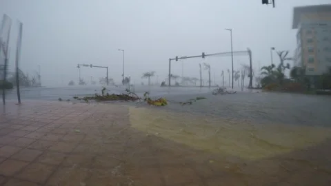 Hurricane Maria crazy wind street flooding Stock Footage 105086079