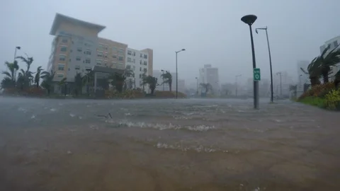 Hurricane Maria flooding high wind Stock Footage 105113676
