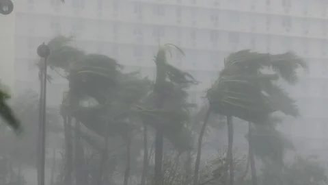 Hurricane Maria, high wind, horizontal rain, San Juan Stock Footage 80464798