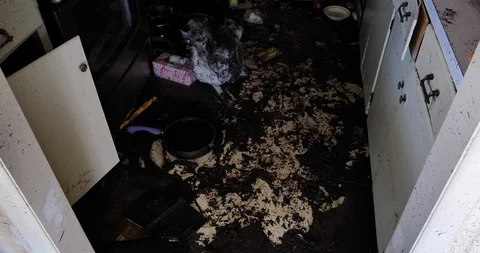 Hurricane Michael aftermath, tilt up destroyed mud and sewage covered kitchen Stock Footage 98845533