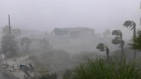 Hurricane Michael crazy wind Video stock 96352932